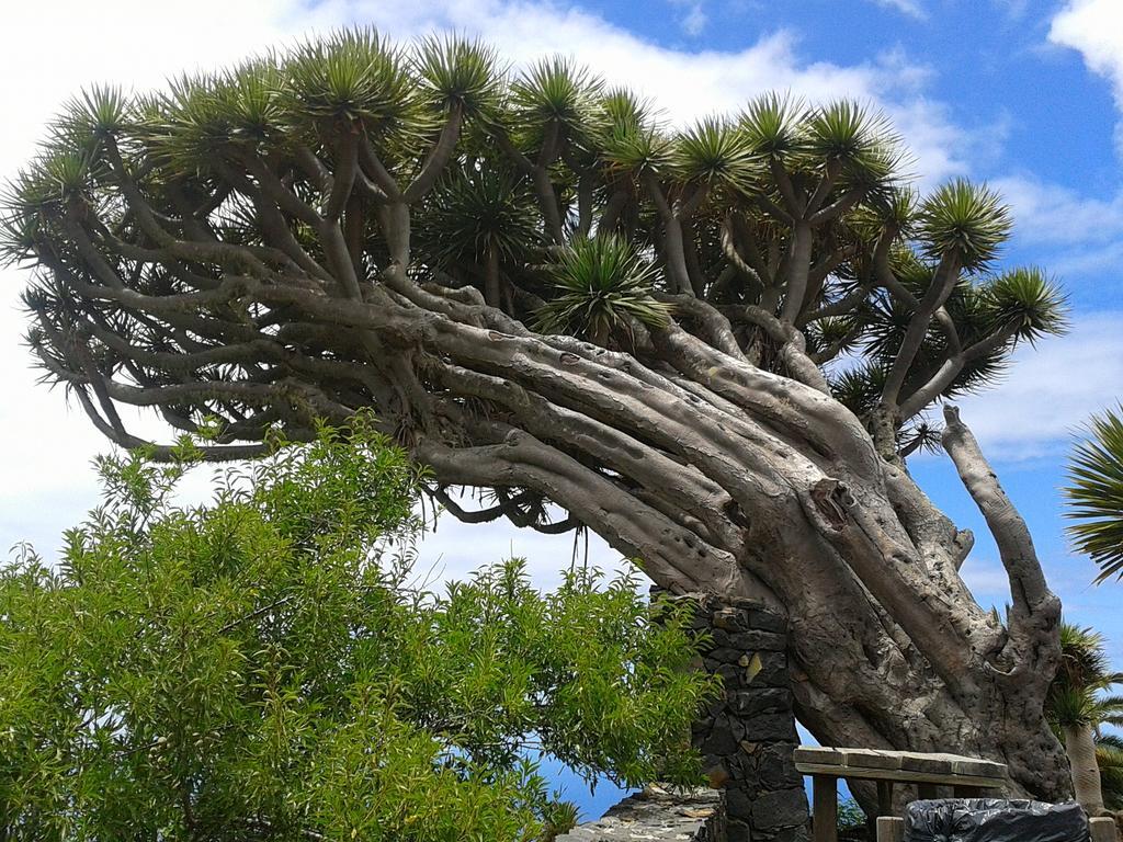 La Palmerita Vacacional Los Llanos De Aridane Ngoại thất bức ảnh