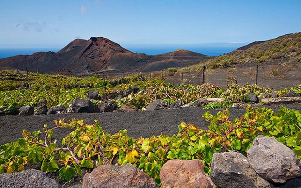 La Palmerita Vacacional Los Llanos De Aridane Ngoại thất bức ảnh