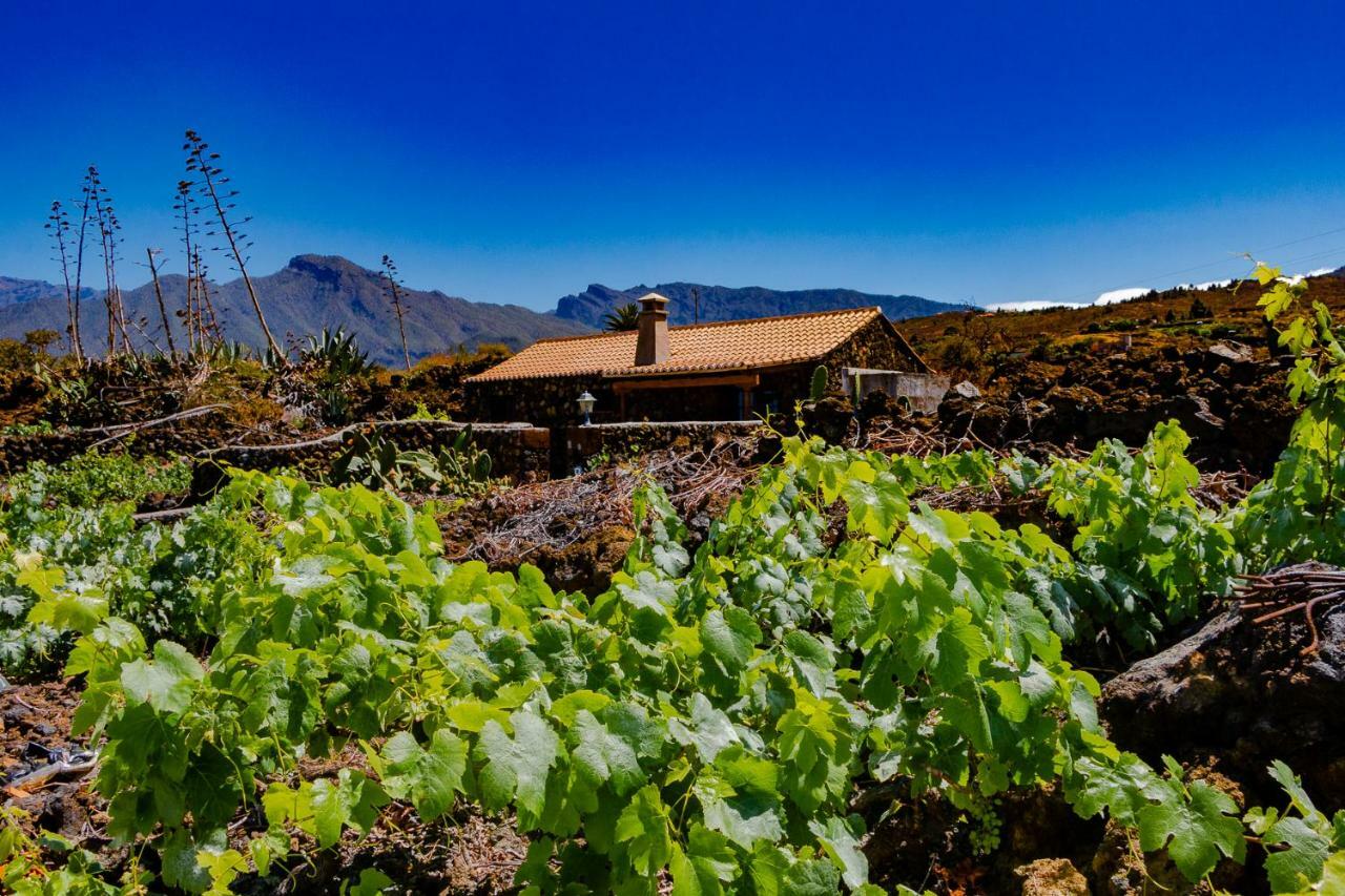 La Palmerita Vacacional Los Llanos De Aridane Ngoại thất bức ảnh
